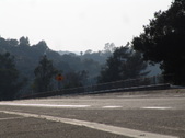 Enlarge photo 55