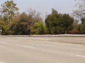 Enlarge photo 90