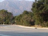 Enlarge photo 98