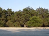 Enlarge photo 99