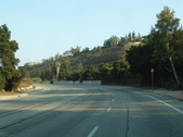 Enlarge photo 105
