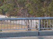 Enlarge photo 113