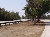Enlarge photo 31