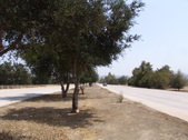 Enlarge photo 36