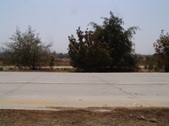 Enlarge photo 35