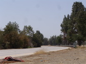 Enlarge photo 41