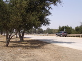 Enlarge photo 43
