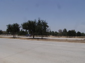 Enlarge photo 46