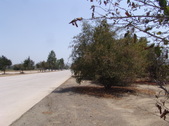 Enlarge photo 48