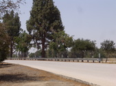 Enlarge photo 49
