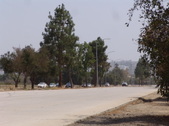 Enlarge photo 52