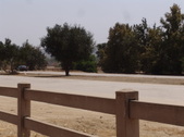 Enlarge photo 56