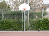 Enlarge photo 59