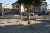 Enlarge photo 28