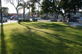 Enlarge photo 34