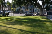 Enlarge photo 30