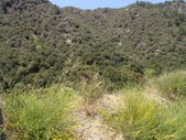 Enlarge photo 1