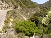 Enlarge photo 12
