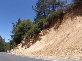 Enlarge photo 28