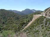 Enlarge photo 33