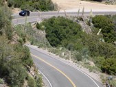 Enlarge photo 46