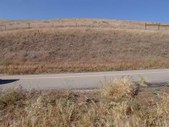 Enlarge photo 63