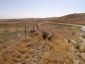 Enlarge photo 73