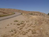 Enlarge photo 76