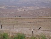 Enlarge photo 91