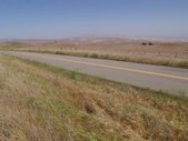 Enlarge photo 93