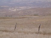 Enlarge photo 96
