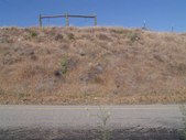 Enlarge photo 104