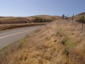 Enlarge photo 115