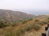 Enlarge photo 29
