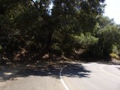 Enlarge photo 33