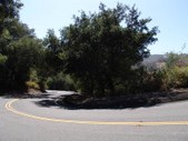 Enlarge photo 34