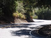 Enlarge photo 38