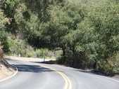 Enlarge photo 48