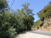 Enlarge photo 49