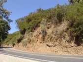 Enlarge photo 50