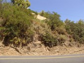 Enlarge photo 51