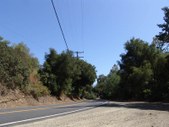 Enlarge photo 52