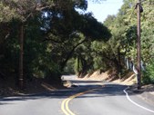 Enlarge photo 56