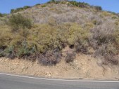Enlarge photo 70