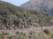 Enlarge photo 74