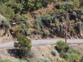 Enlarge photo 78