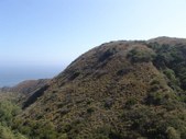 Enlarge photo 84