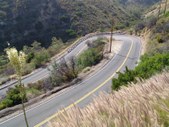 Enlarge photo 93