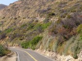 Enlarge photo 96