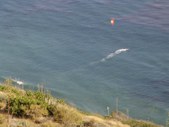 Enlarge photo 104